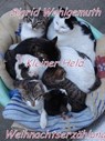 Kleiner Held - Sigrid Wohlgemuth - 9781301571222