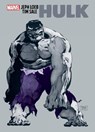 Jeph Loeb & Tim Sale: Hulk Gallery Edition - Jeph Loeb - 9781302953072