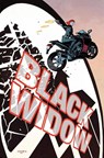 Black Widow & Captain America By Waid & Samnee Omnibus - Mark Waid - 9781302966577