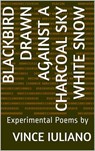 Blackbird Drawn against a Charcoal Sky White Snow - Vince Iuliano - 9781310023767