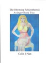 The Rhyming Schizophrenic Avenger Book Two - Colin J Platt - 9781310071997