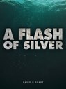 A Flash of Silver - David D Sharp - 9781310336249