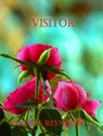 Visitor - David S Reynolds - 9781310438233