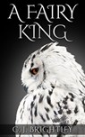A Fairy King - C. J. Brightley - 9781310821899