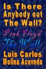 Is There Anybody Out The Wall? - Luis Carlos Molina Acevedo - 9781311168788