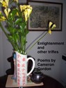 Enlightenment and other trifles: poems - Cameron Gordon - 9781311175113
