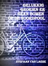Gelukkig groeien er geen bomen op de Noordpool - Stefaan Van Laere - 9781311181398