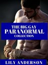 The Big Gay Paranormal Collection - Lily Anderson - 9781311454959