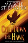 Call Down the Hawk (The Dreamer Trilogy, Book 1) - Maggie Stiefvater - 9781338188332