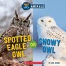 Spotted Eagle-Owl or Snowy Owl (Wild World: Hot and Cold Animals) - Eric Geron - 9781338799422
