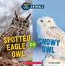 Spotted Eagle-Owl or Snowy Owl (Wild World: Hot and Cold Animals) - Eric Geron - 9781338799439