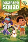 Wildfire Rescue: A Branches Book (Disaster Squad #1) - Rekha S. Rajan - 9781338828849