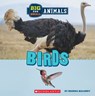 Birds (Wild World: Big and Small Animals) - MALONEY,  Brenna - 9781338853513