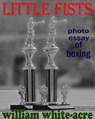Little Fists - William White-acre - 9781370815593