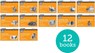 Read Write Inc. Phonics: Orange Set 4 More Black & White Storybooks (Pack of 12) - Adrian Bradbury ; Catherine Baker ; Jan Burchett ; Sara Vogler - 9781382047906