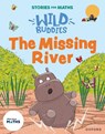 Stories for Maths: EYFS: The Missing River - Clare Weze - 9781382057851