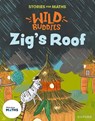Stories for Maths: EYFS: Zig's Roof (How many now?) - Giles Clare - 9781382057875