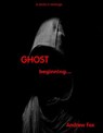 The Ghost...beginnings - andrew fox - 9781386593966