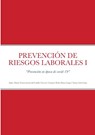 PREVENCIÓN DE RIESGOS LABORALES I - María Tere Garcia Del Castillo Tercero - 9781387117185