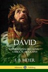 David - F B Meyer - 9781387973101