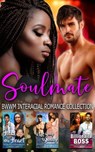 Soulmate : BWWM Interracial Romance Collection - Terri Lane ; Kierra Baxter - 9781393013785
