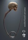 Underland Arcana 2 - Jon McGoran ; Nathan Batchelor ; Jennifer Quail ; Linda McMullen ; Lexi Peréz ; Tori Fredrick ; Selah Janel ; H. L. Fullerton ; W. T. Paterson ; Eric Del Carlo - 9781393148333