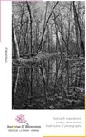 Auroras & Blossoms Creative Literary Journal: Issue 2 - Denise Laura Baker ; Janice Ball ; Sandra Christensen ; Melissa Frentsos ; Geoff Goodman ; A. Gouedard ; Khanh Ha ; Jenny Hayut ; Gloria Keh ; Margaret Koger ; Stephen Milner ; Nonkululeko Nxumalo ; Aparna Ram ; Ramona Scarborough ; Mervyn Seivwright ; Le - 9781393937012