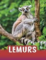 Lemurs - Jaclyn Jaycox - 9781398202443
