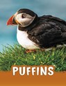 Puffins - Jaclyn Jaycox - 9781398202450