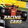 Racing Cars - Mari Schuh - 9781398203839