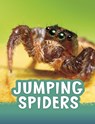 Jumping Spiders - Jaclyn Jaycox - 9781398213128