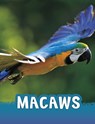 Macaws - Jaclyn Jaycox - 9781398213142