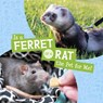 Is a Ferret or a Rat the Pet for Me? - Cara Krenn - 9781398258044