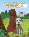 Rags and Shadow to the Rescue - A. M. Houston - 9781398492721
