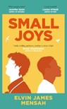 Small Joys - Elvin James Mensah - 9781398514881