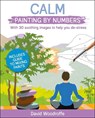 CALM PAINTING BY NUMBERS - David Woodroffe - 9781398807716