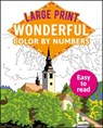 Woodroffe, D: Large Print Wonderful Color by Numbers - David Woodroffe - 9781398809505
