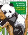 Amazing Animals Colour by Numbers - David Woodroffe - 9781398838772