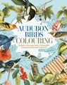 Audubon Birds Colouring Kit - Peter Gray - 9781398848108