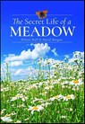The Secret Life of a Meadow - Wilson Wall ; David Morgan - 9781399072557