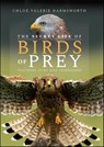 The Secret Life of Birds of Prey - Chloé Valerie Harmsworth - 9781399093255