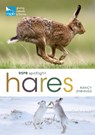 RSPB Spotlight Hares - Nancy Jennings - 9781399405041