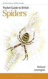Pocket Guide to British Spiders - Richard Lewington - 9781399406987