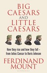 Big Caesars and Little Caesars - Ferdinand Mount - 9781399409711