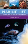 Marine Life of the North Sea and English Channel - Lawson Wood - 9781399415521