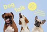 Teach Yourself Dog -  - 9781399608527