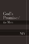 GODS PROMISES FOR MEN NIV - Jack Countryman - 9781400323098