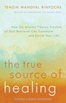 The True Source of Healing - Tenzin Wangyal - 9781401948221