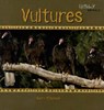 Vultures - O'DONNELL,  Kerri - 9781404235267
