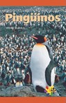 Pinguinos - Shelby Braidich - 9781404274525